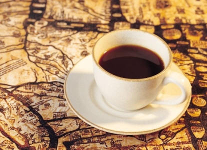 四大地震带最大的哪个 四大地震带最大的地震带是