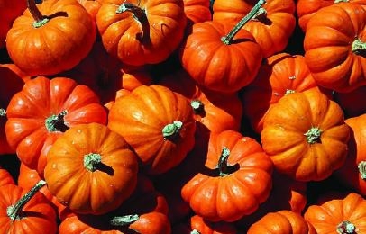 莲藕排骨汤做法