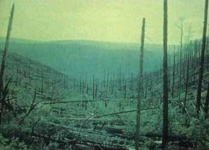 未解之谜:保罗沃克车祸身亡照 保罗沃克车祸