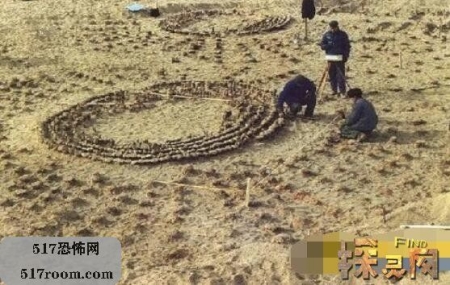 未解之谜：陈坚的半张人脸 资料 陈坚的最后79小时半张脸