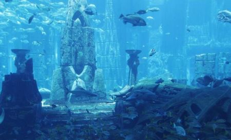 未解之谜：随处可见的麻雀人们一般很少看到它们的尸体麻雀的寿命有多长 麻雀寿命很短为什么见不到尸体