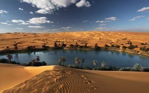 为什么沙漠里的沙子不能用于建筑