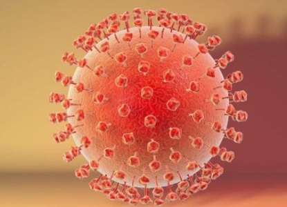 神户牛肉多少钱一头一斤要卖1600元这款高原