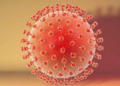 神户牛肉多少钱一头一斤要卖1600元这款