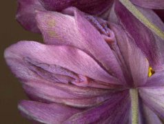 对女性私处的14个误区女人用类似男人阴茎的东西自慰