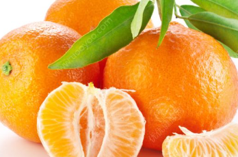丑橘简介 吃丑橘就不要担心会上火