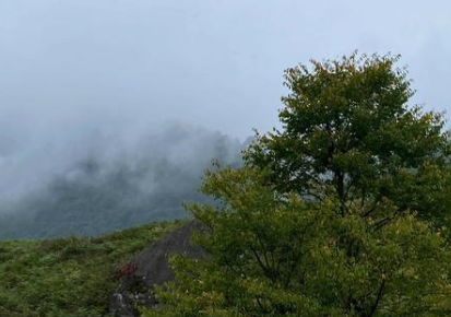 中国百慕大：四川黑竹沟的神秘面纱