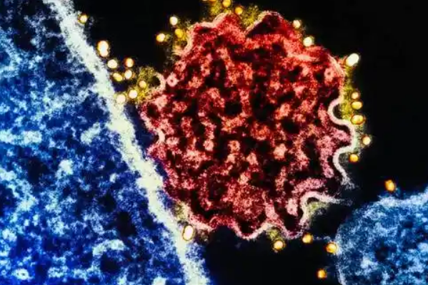 病毒似乎偏爱在春节前“搞事情”，是巧合还是必然结果？