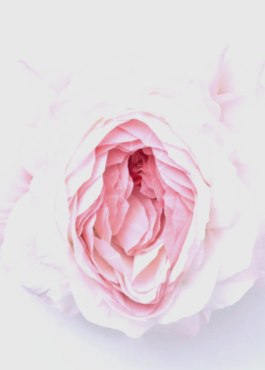 j5940-image.png